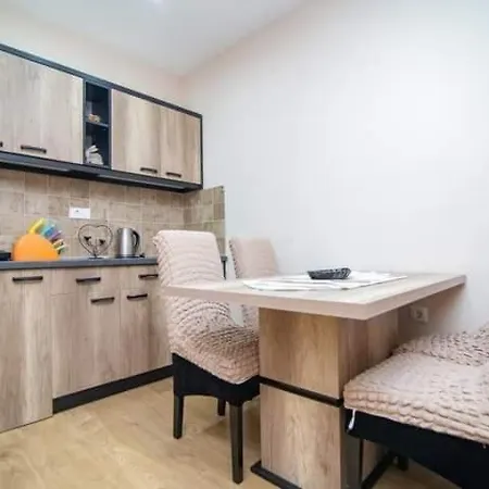 Vasa 兹拉蒂博尔